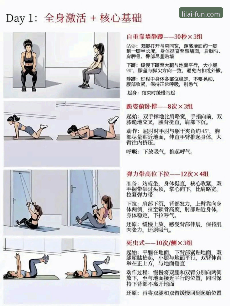 利来体育功能必备使用指南：新手上手完整攻略